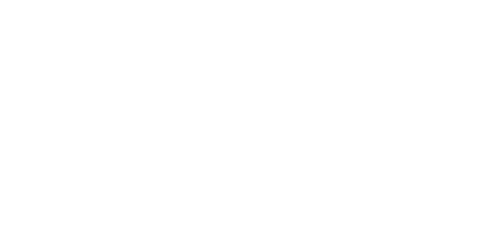 prime synergy group